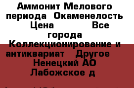 Аммонит Мелового периода. Окаменелость. › Цена ­ 2 800 - Все города Коллекционирование и антиквариат » Другое   . Ненецкий АО,Лабожское д.